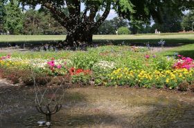 60_Jahre_Rheinpark (22).jpg