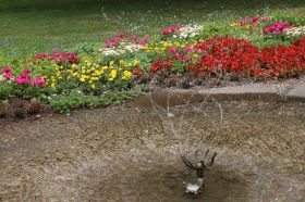 60_Jahre_Rheinpark (62).jpg