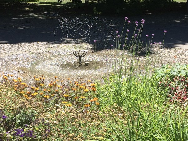 Sommer 2018 im Brunnengarten