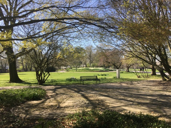 LIcht und Schatten im Brunnengarten